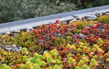 the cost of Gwinear green roof installation